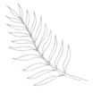 Noosa-Palm-Leaf