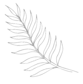 Noosa-Palm-Leaf