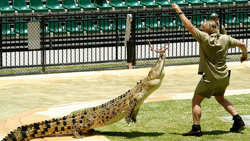 Australia Zoo Wildlife Park croc show