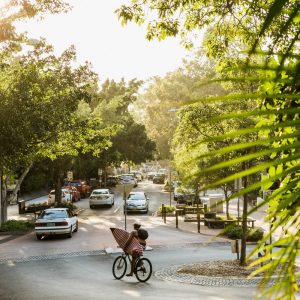 bike rider holding surfboard riding on tree-lined street