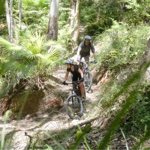 mountain bike tour