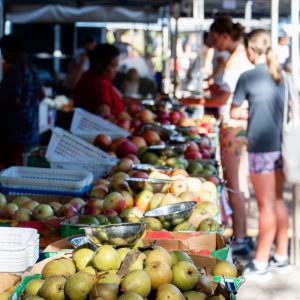 noosa farmers market