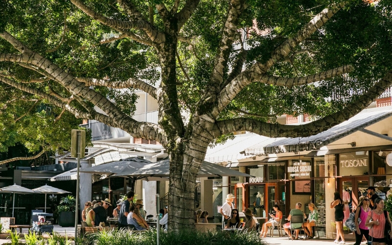 shopping at noosa on hastings street