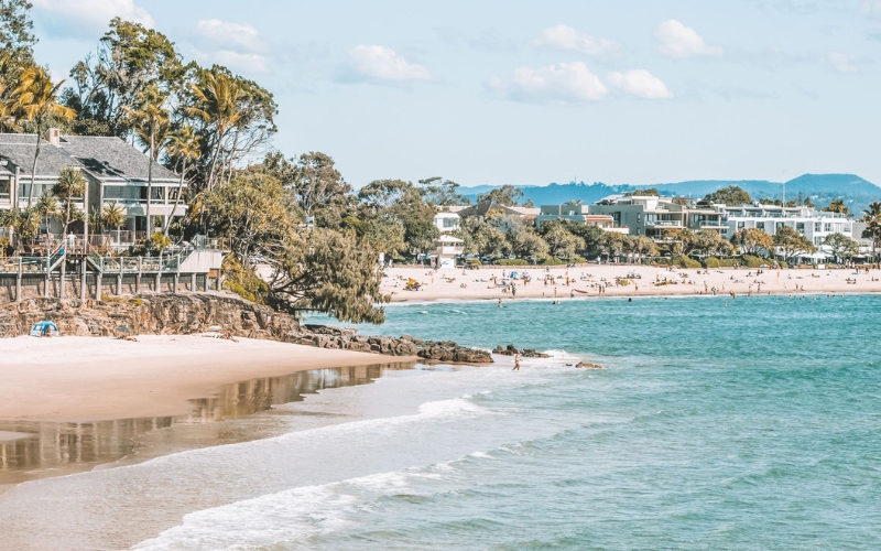 beach and ocean at little cove