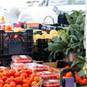 produce at peregian beach market